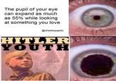 The pupil of your eye can expand as much as 55% while looking at something you love @cheetopapito HITLER YOUTH