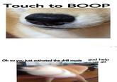 Touch to BOOP Oh no you just actiated the dill mode god help us all todoggo