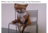 Bad Taxidermy When he in the bookings in his Romphim