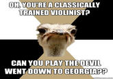 OH,YOU'REA CLASSICALLY TRAINED VIOLINIST- CAN YOU PLAY THEDEVIL WENT DOWN TO GEORGIAS? quickmeme.com