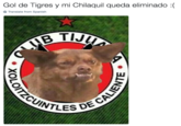 Gol de Tigres y mi Chilaquil queda eliminado :( Translate from Spanish TIJU UINTLES