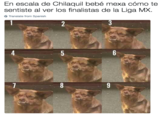 En escala de Chilaquil bebé mexa cómo te sentiste al ver los finalistas de la Liga MX. Translate from Spanish