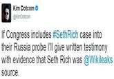 Kim Dotcom @KimDotcom If Congress includes #Seth Rich case into their Russia probe l'll give written testimony with evidence that Seth Rich was @Wikileaks source