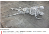 thatcorbincrow ARE THESE SKELETONS H--- GAYS????I DO NOT SEE A BONE T---- IAM UNCOMFOTRABLE