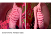 Bonita Femur has them bone tiddies