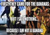 FIRST THEY CAME FOR THE BANANAS BUTISAID NOTHING BECAUSEIAM NOT A BANANA quickmeme.com