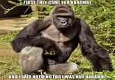FIRST THEY CAME FOR HARAM BE ANDISAID NOTHING FORWAS NOT HARAMBE mer