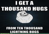Meme of the "Forever Alone":/memes/forever-alone advice animal referencing the line "I get a thousand hugs from ten thousand lightening bugs" from the lyrics of the Fireflies song.