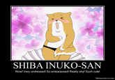 SHIBA INUKO-SAN Wow! Very undressed! So embarassed! Really shy! Such cute! fakeposters.comm