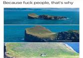 Because f--- people, that's why