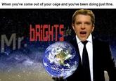 ut of your cage and you've been doing just fine.