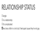 RELATIONSHIP STATUS single in a relationship it's complicated two bros chillin in a hot tub 5 feet apart cause they're not gay