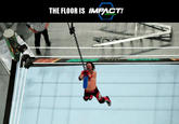 The floor is Impact Wrestling screenshot is from the Money In The Bank Ladder Match, at the WWE Money In The Bank 2017 PPV event (June 18, 2017)
Also in the "Pro Wrestling / WWE gallery":https://knowyourmeme.com/photos/1267237-professional-wrestling
