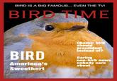 BIRD IS A BIG FAMOUS... EVEN THE TV! BIRD TIME Obama;bird should presdident instead of? BIRD Boring non-birb news nobody care about Amerieca's Sweethert