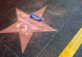 Trump's Star Destroyed with Pick axe