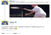 Cher Cher@cher 24 Jun TRUMP HAS MAMMOTH ASS,AND VISIBLE PANTY LINE 4,444 34.7K 101K Cher @cher Looks Like two polar bears fighting in a pillow case 12:31 PM 04 Jul 17 183 RETWEETS 1,028 LIKES