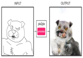 INPUT OUTPUT pix2pix processS
