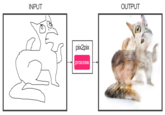 INPUT OUTPUT pix2pix process