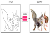INPUT OUTPUT pix2pix process
