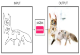 INPUT OUTPUT pix2pix process