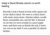 today's David Brooks column is worth reading Recently I took a friend of mine with a giant nail in her skull to lunch. We went to a fancy bistro with exotic menu items: chlorine tablets, noodle floats, extendable nets, and the like. It dawned on me that we were actually in a pool supply store, and there was no friend; the nail, it turns out, was in my skull. It was a parable of cultural decline.