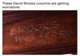 These David Brooks columns are getting worrisome.