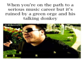When you're on the path to a serious music career but it's ruined by a green orge and his talking donkey IG: efvckyoumeme it