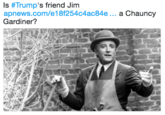 Is #Trump's friend Jim apnews.com/e18f254c4ac84e... a Chauncy Gardiner?