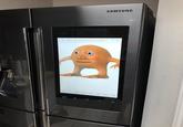 Orange Lad on Fridge SAMSUNG 回i1.kym-cdn.com/entries/icons/originaO +句
