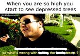 When you are so high you start to see depressed trees IG: so what's wrong with thetreets?