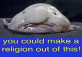you could make a religion out of this!