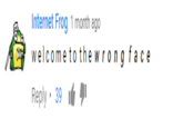 Internet Frog 1 month ago w elc ome to the w rongfac e Reply. 39 lé