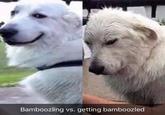 Bamboozling vs. getting bamboozled