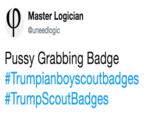 Master Logician @uneedlogic P---- Grabbing Badge #Trumpianboyscoutbadges #TrumpScoutBadges