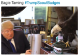 Eagle Taming #TrumpScoutBadges