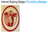 Internet Bullying Badge #TrumpScoutBadges