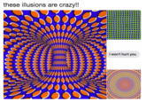 these illusions are crazy!! I won't hurt you