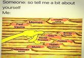 Someone: so tell me a bit about yourself Me: Unhealthy coping mechanisms Memes trauma Britney GayTM) Spears Mental illnesses Politics Hyper- Musicfixations Abandonment issues