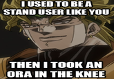 I USED TO BE A STAND USER LIKE YOU THEN I TOOK AN ORA IN THE KNEE