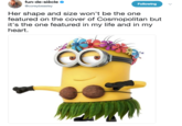 Minion Tweet fun-de-siècle @coreybeasley Following Her shape and size won't be the one featured on the cover of Cosmopolitan but it's the one featured in my life and in my heart.