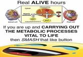 Real ALIVE hours Mitochondrion Cytosol Organic molecules ATP Animsl cell esplcya Plant cel If you are up and CARRYING OUT THE METABOLIC PROCESSES VITAL TO LIFE then SMASH that like button