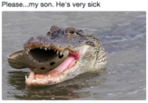 Please...my son. He's very sick Please...my son. He's very sick