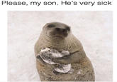 Please my son he's very sick Please, my son. He's very sick