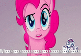 MLP: The Movie (2017) Pinkie Pie: What The F--- Is This S--- I Compressed The Reaction Image.