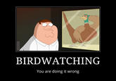 BIRDWATCHING You are doing it wrong