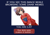IF YOU SEE THIS IMAGE WHILE BROWSING SOME DANK MEMES YOU ARE GAY The d--- only makes it better!