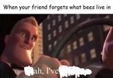 bee irl