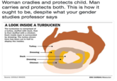 Woman cradles and protects child. Man carries and protects both. This is how it ought to be, despite what your gender studies professor says A LOOK INSIDE A TURDUCKEN The turducken is comprised of a turkey, stuffed with duck, that is then stuffed with a chicken. Each inside layer is surrounded by dressing. The turkey shown here has been cut in half to display the insides. Turkey Dressing Duck Dressing Chicken Source: GOOGLE IMAGES ERIC DURBAN/Missourian