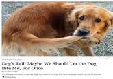 Good dog/AP OP-ED CONTRIBUTOR Dog's Tail: Maybe We Should Let the Dog Bite Me, For Once By A DOG'S TAIL We always run away from the dog, but there's no way this new strategy could bite us in the ass 무 Comments