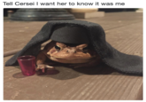Tell Cersei I want her to know it was me